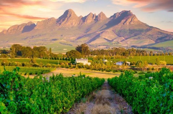 From Cape Winelands to Zanzibar Sands: A Taste of African Opulence for the Cultured Traveller