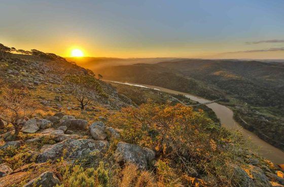 Wings of the Wild: A Private Jet Sojourn Across South Africa